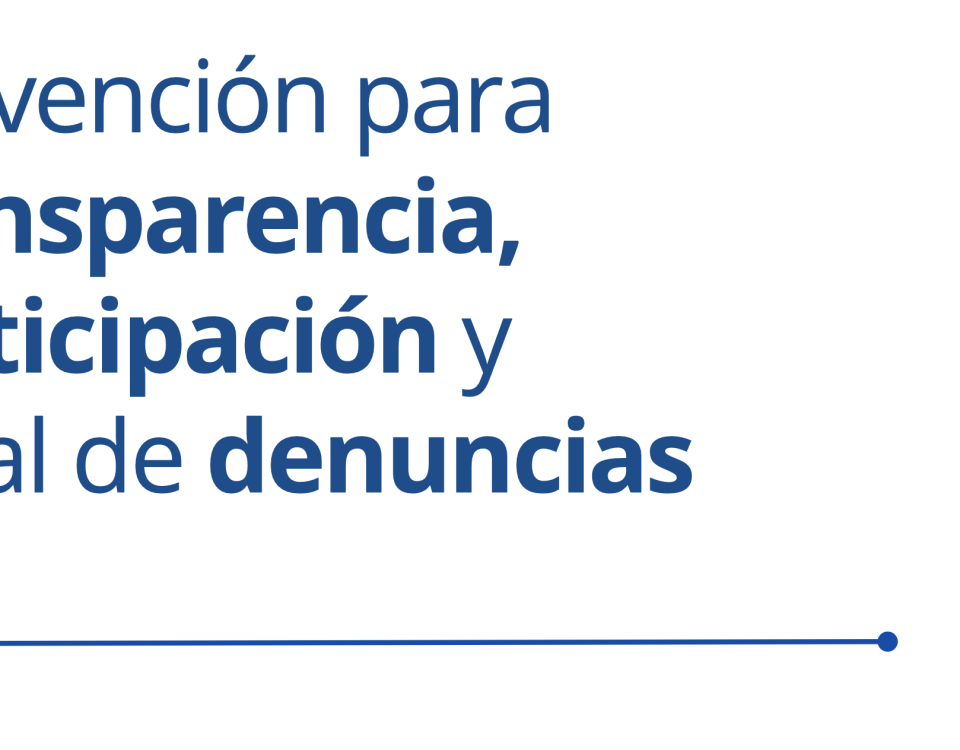 Subvención transparencia participación diputación castellon